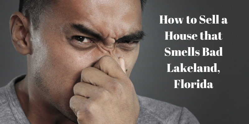 How to Sell a House that Smells Bad Lakeland, Florida