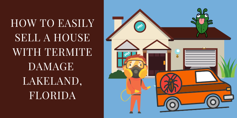 How to Easily Sell a House with Termite Damage, Lakeland, Florida